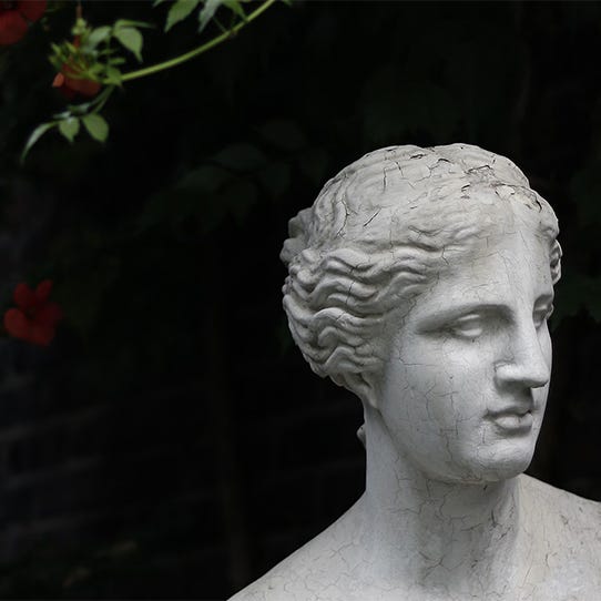 Greek-style statue in the foreground, set against a black background, with a flowering bush featuring red blossoms behind it. Photo: Hoyoun Lee